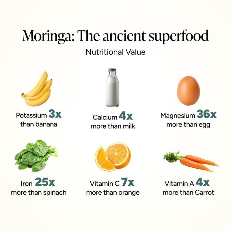 Moringa Powder™