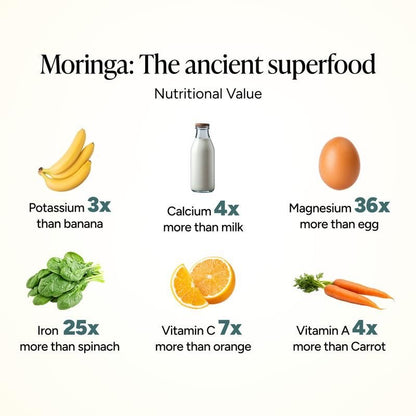Moringa Powder™